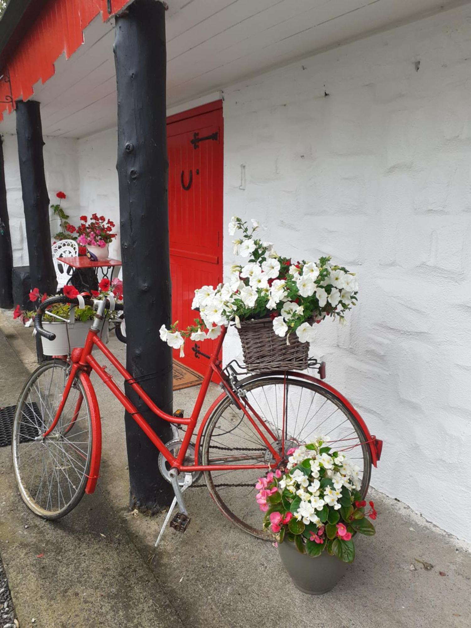 Cummins Cottages Ballycrossaun Eksteriør billede